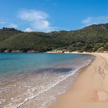 L'unu * アピエット